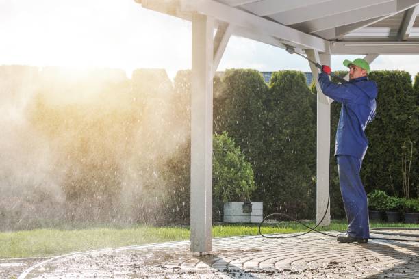 Best Animal Enclosure Cleaning  in Chinook, MT