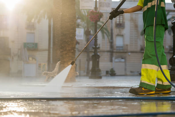 Best Roof Washing  in Chinook, MT